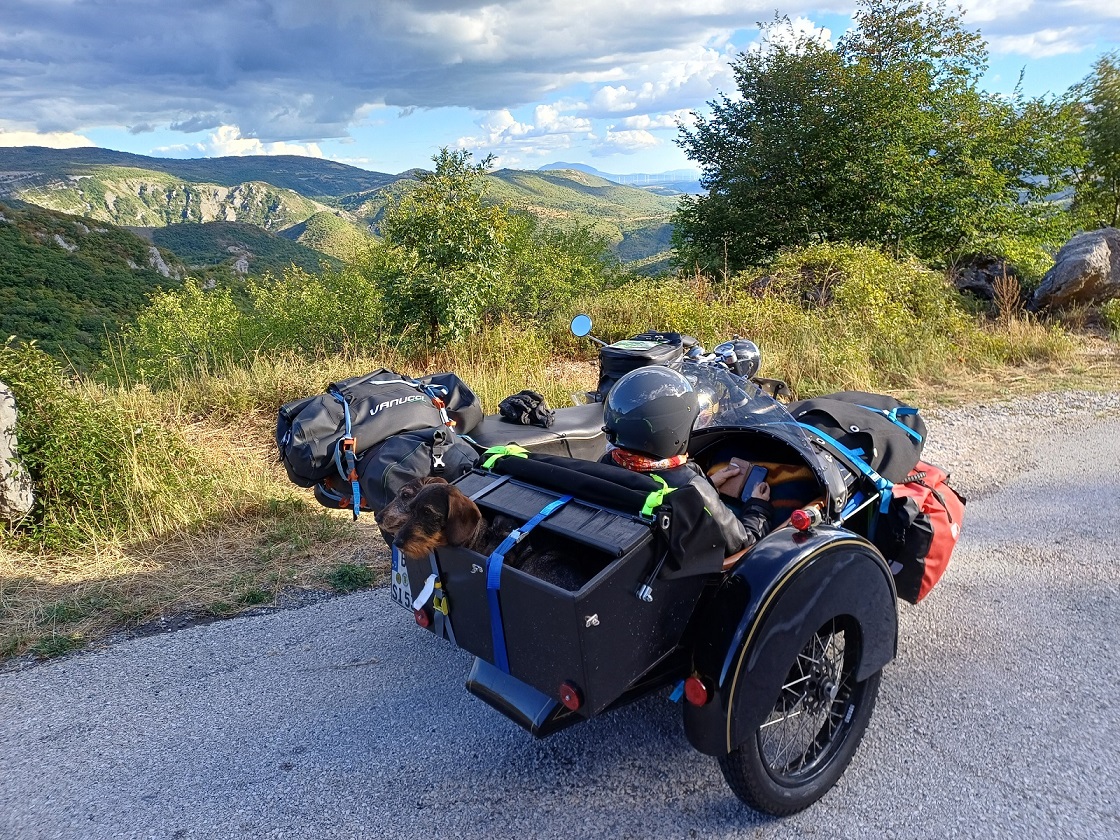 3 Dackel mit dem NSU Konsul Motorrad Gespann in Kroatien 2025